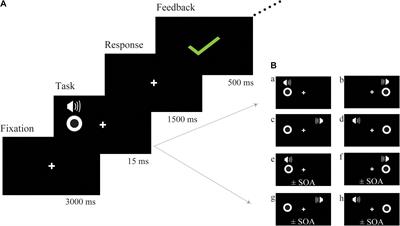 Audio-Visual Spatiotemporal Perceptual Training Enhances the P300 Component in Healthy Older Adults